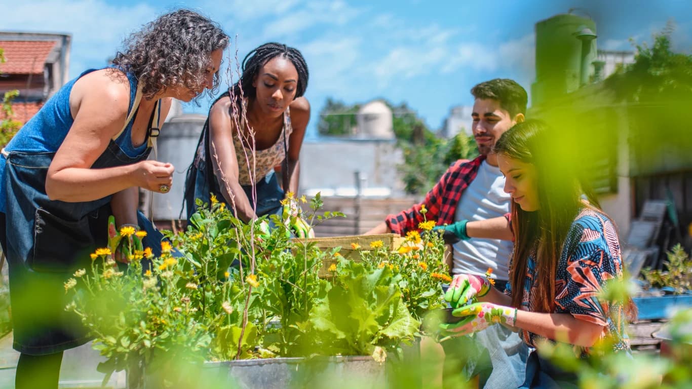 People gardening